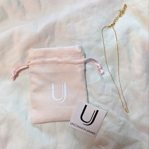 Uncommon James Adjustable Gold Choker, Necklace